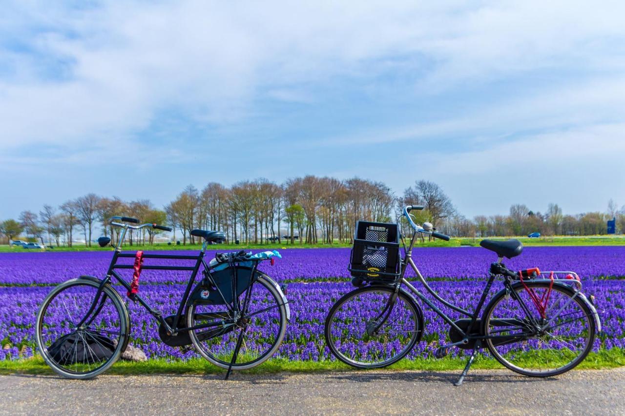 Slapen Bij De Buurvrouw Panzió Castricum Kültér fotó